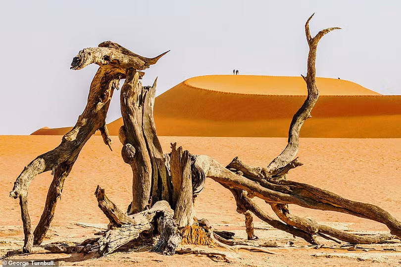 Loạt tác phẩm ấn tượng trong cuộc thi ảnh quốc tế Peace 2020 của Agora