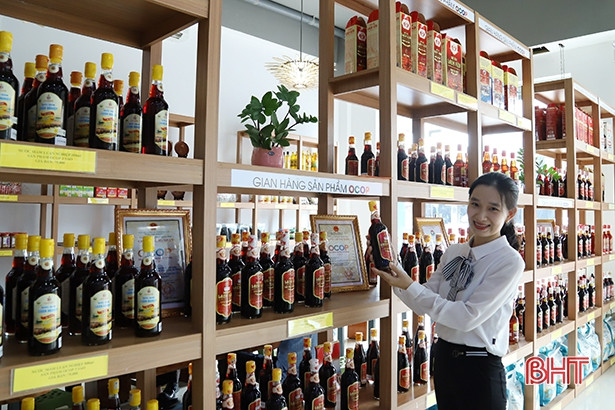 Hà Tĩnh chấp thuận 72 ý tưởng sản phẩm đủ điều kiện tham gia OCOP