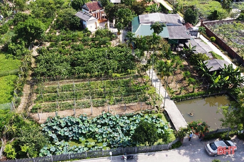 Người thương binh thu nhập hàng trăm triệu đồng nhờ xóa bỏ vườn tạp