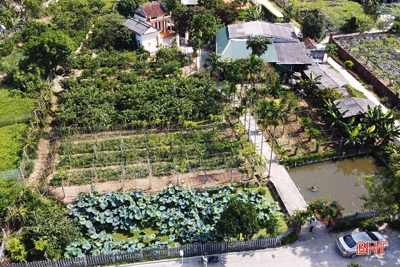 Người thương binh thu nhập hàng trăm triệu đồng nhờ xóa bỏ vườn tạp