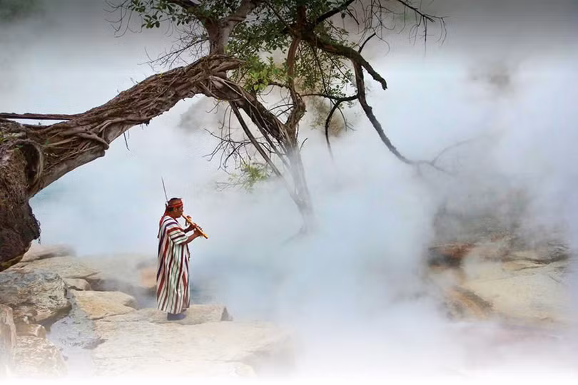 Dòng sông sôi có thể luộc chín mọi sinh vật