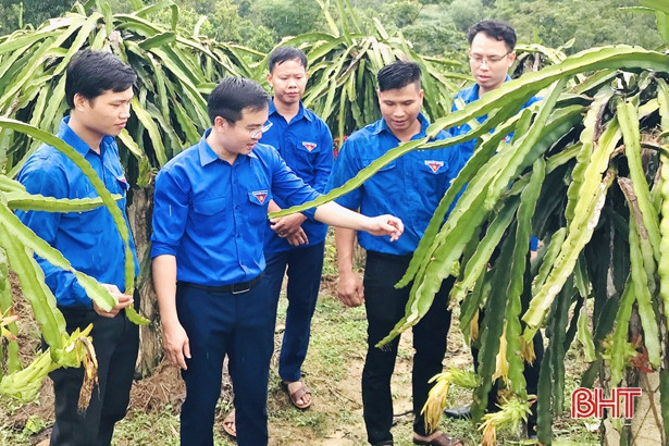 Tập huấn OCOP và ra mắt mô hình kinh tế thanh niên ở các huyện miền núi Hà Tĩnh