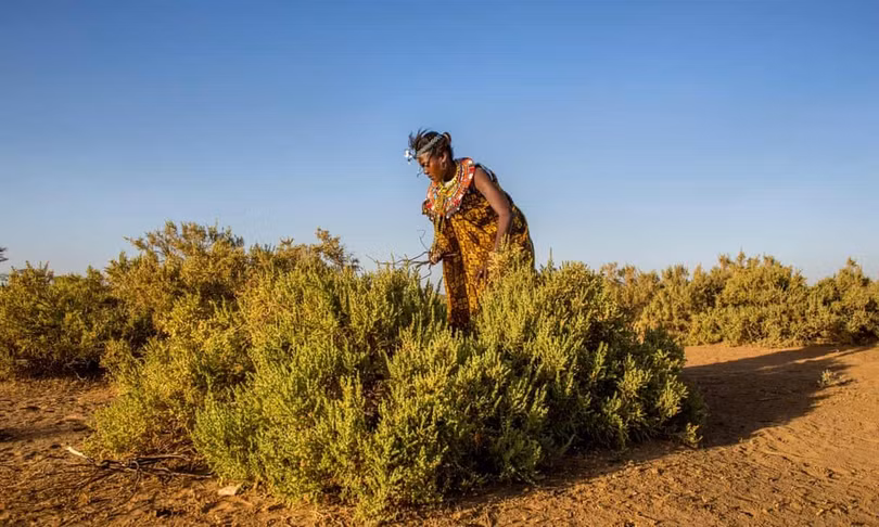 Ngôi làng chỉ có phụ nữ được sinh sống