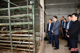 Nhân rộng mô hình nuôi hươu sao tại xã Cẩm Lạc