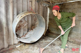 Khẩn trương xử lý môi trường chăn nuôi sau mưa lũ