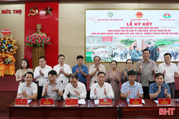 Tiếp tục duy trì liên kết sản xuất nông nghiệp tuần hoàn, hữu cơ Quế Lâm