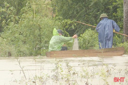 Người dân liều mình đánh bắt cá trong mưa lũ