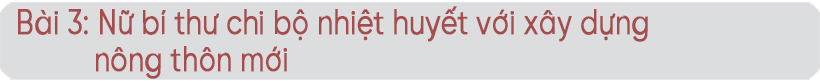 Đảng viên là người có đạo ở Hà Tĩnh - khi “hạt giống đỏ” được ươm mầm (bài 4): Phát triển đảng viên là người có đạo, góp phần xây dựng Đảng vững mạnh ảnh 27 Đảng viên là người có đạo ở Hà Tĩnh - khi “hạt giống đỏ” được ươm mầm (bài 4): Phát triển đảng viên là người có đạo, góp phần xây dựng Đảng vững mạnh