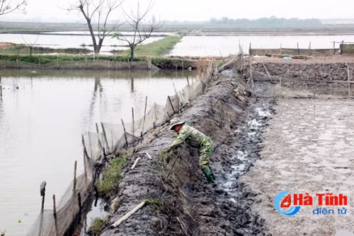 nhung cuoc doi doi ben ta ngan song nghen
