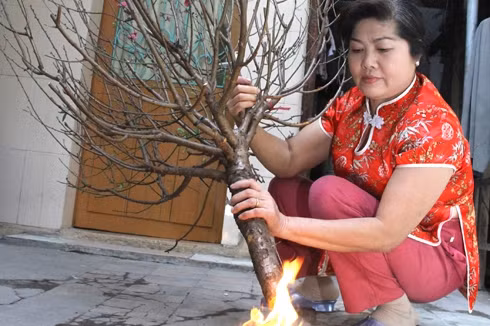 nguoi nguoi mua dao la dot goc nhung lieu ban co biet su that nay