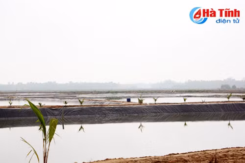 nhung cuoc doi doi ben ta ngan song nghen