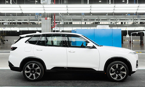 Chiếc ô tô đầu tiên của VinFast lăn bánh tại Việt Nam ảnh 3 Chiếc ô tô đầu tiên của VinFast lăn bánh tại Việt Nam