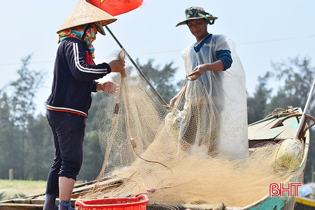 “Săn” cá trích tháng 3, ngư dân Hà Tĩnh thu tiền triệu mỗi ngày