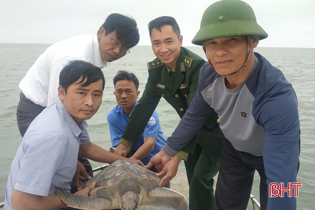 Thả cá thể rùa gần 20 kg xuống biển Cửa Sót