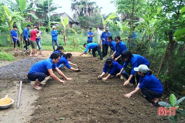 Tuổi trẻ Hà Tĩnh hưởng ứng “Ngày chủ nhật xanh”