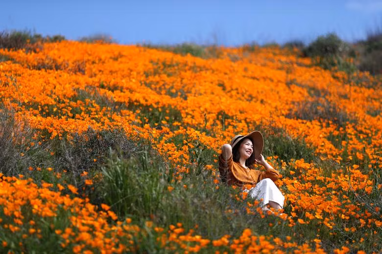 Ngắm nhìn “một nửa thế giới” nhân ngày 8/3