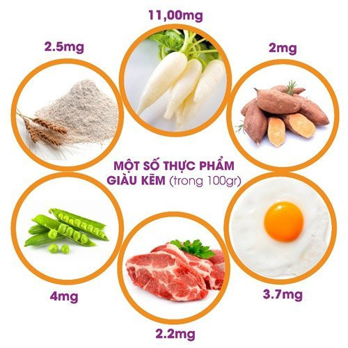 Thiếu kẽm nguy hiểm thế nào đến sự phát triển của trẻ? ảnh 2 Thiếu kẽm nguy hiểm thế nào đến sự phát triển của trẻ?