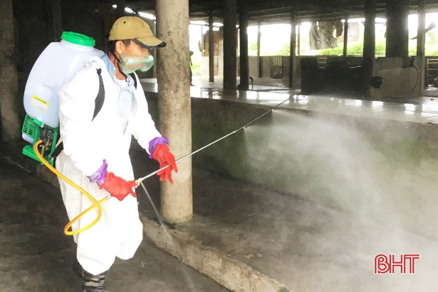 Lộc Hà tiêu độc khử trùng diện rộng phòng bệnh dịch tả lợn Châu Phi