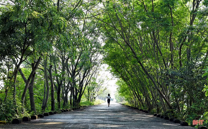 Hương sắc tháng ba…