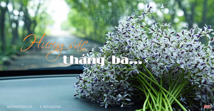 Hương sắc tháng ba…
