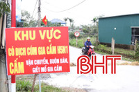 Ráo riết phòng chống dịch cúm gia cầm H5N1 từ “ổ dịch” Cẩm Xuyên