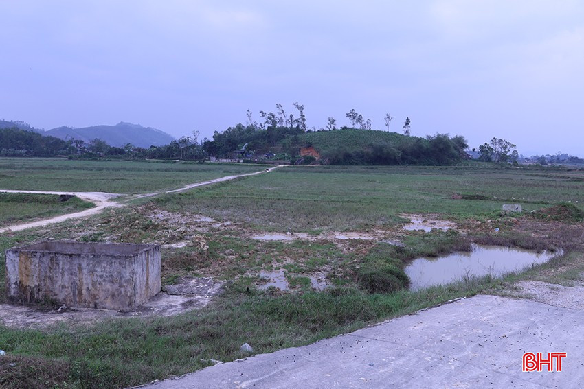 bqbht_br_mai-hoa-6.jpg