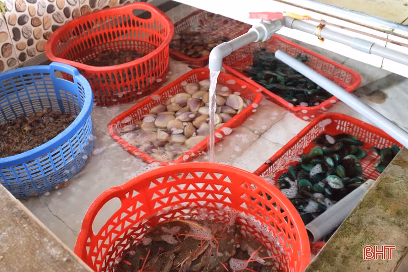 Các cơ sở kinh doanh ở phố biển Thiên Cầm tân trang đón mùa du lịch mới