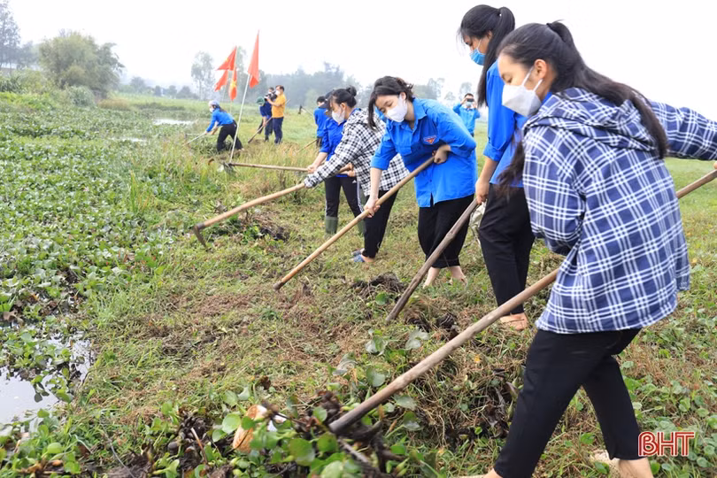 Tuổi trẻ Hà Tĩnh sôi nổi hưởng ứng ngày cao điểm xây dựng nông thôn mới