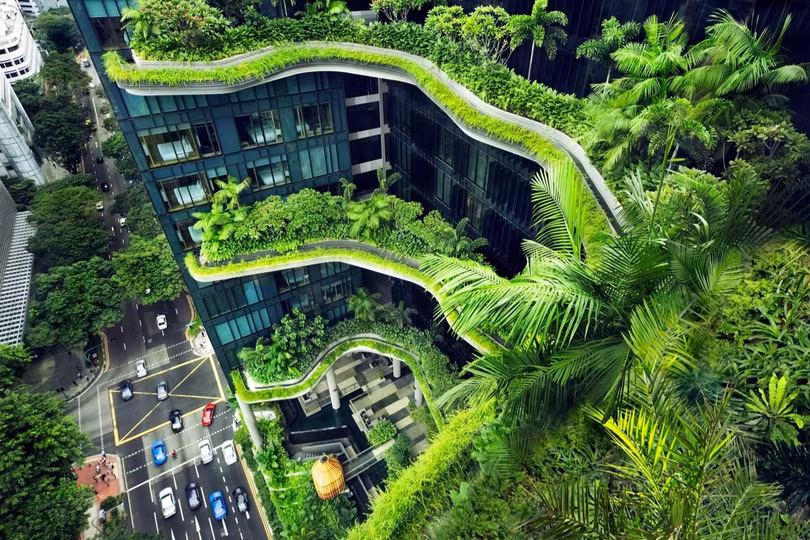Singapore phủ xanh thành phố ra sao?