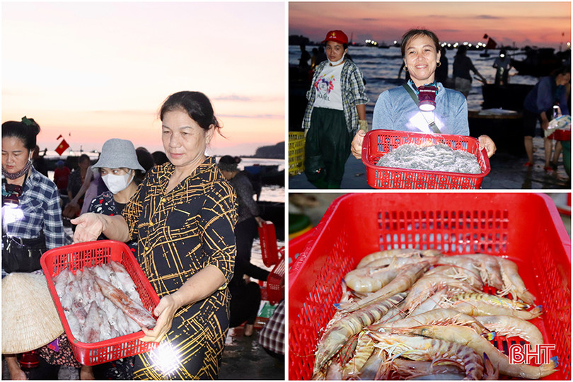 Thời tiết thuận lợi nên ngư dân Cẩm Nhượng đánh bắt được nhiều loại hải sản có giá trị.