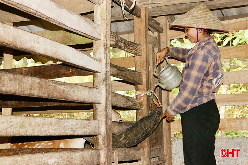 Hươu được chị Linh cho uống nước thường xuyên.