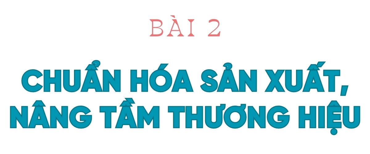 Mở đường cho đặc sản Hương Khê vươn xa (bài 2): Chuẩn hóa sản xuất, nâng tầm thương hiệu