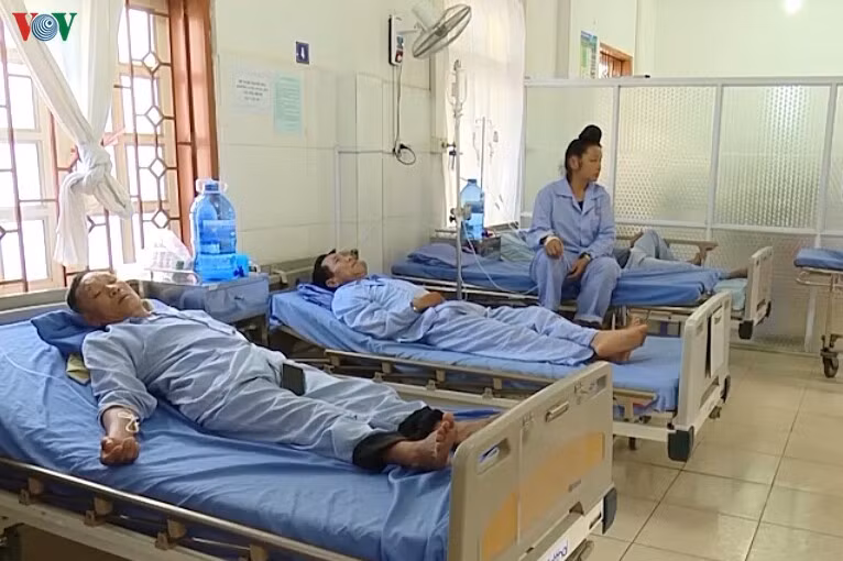 19 người ở Sơn La bị ngộ độc vì ăn bọ xít