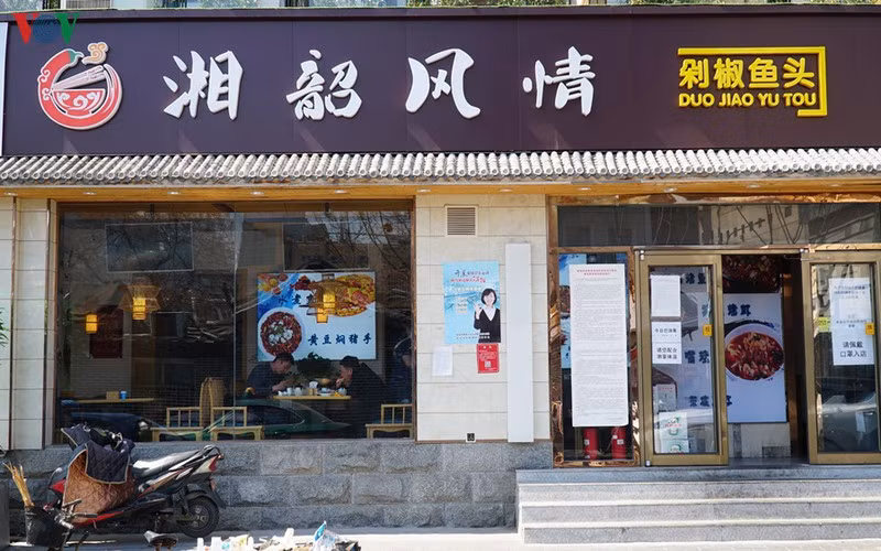 Phượt thủ Việt vòng quanh thế giới phải hồi hương vì Covid-19