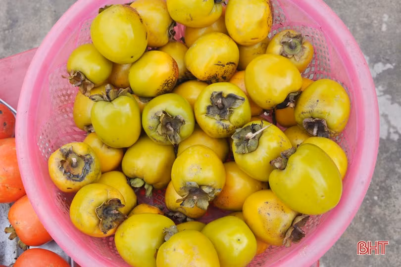 Lạc lối giữa vườn hồng “làm chơi, ăn thật” ở Hương Khê