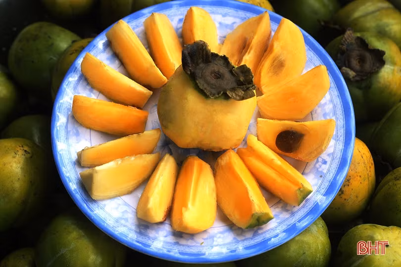 Hồng Đông Lộ chín rộ vườn, ai chậm chân đừng trách... thương lái!