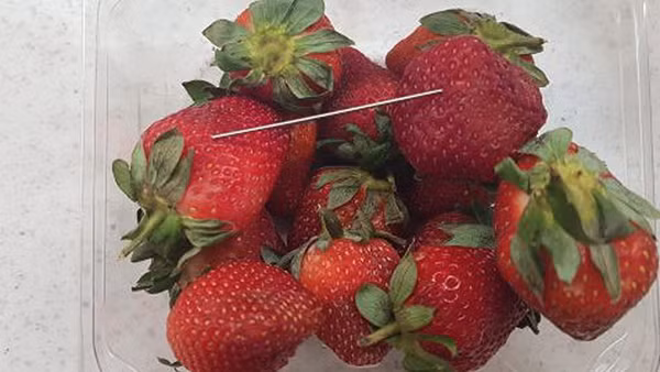 Thế giới ngày qua: Syria tiến hành cuộc bầu cử địa phương đầu tiên từ năm 2011