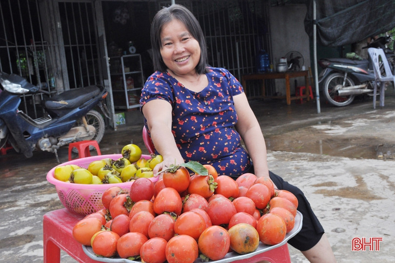 Lạc lối giữa vườn hồng “làm chơi, ăn thật” ở Hương Khê