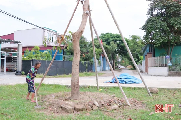 Tiểu công viên - Thêm nhiều không gian xanh giữa TP Hà Tĩnh