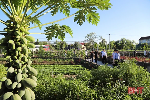 Tiêu chí 20 là cách làm hay cho Hòa Bình học tập xây dựng NTM