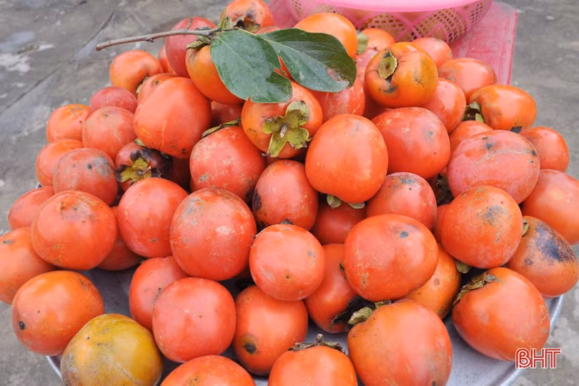 Lạc lối giữa vườn hồng “làm chơi, ăn thật” ở Hương Khê