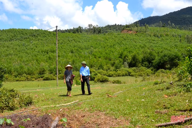 Kiên trì chinh phục rừng hoang, người thương binh xưa nay thành tỷ phú
