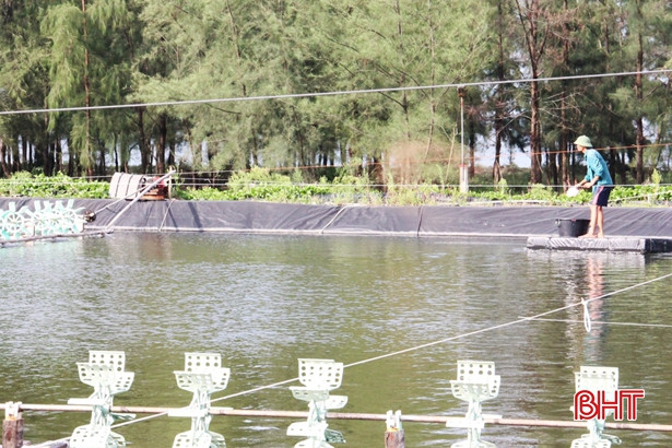 Nghi Xuân thành lập 680 mô hình kinh tế nông thôn mới