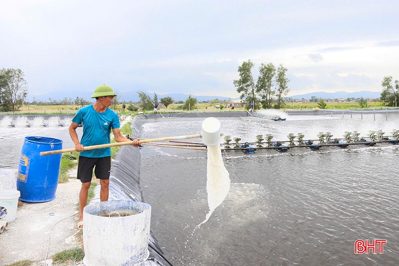 សហគ្រាស និងសហករណ៍វារីវប្បកម្មខ្នាតធំជាច្រើន ត្រូវតែទាញយកអត្ថប្រយោជន៍ពីពេលវេលាអតិបរមា ដើម្បីរក្សាស្ថិរភាពបរិស្ថានទឹកឱ្យបានឆាប់រហ័ស។ bqbht_br_z7068263547474-64b4bfa0c39615cb06b6fb67daf5e91f.jpg