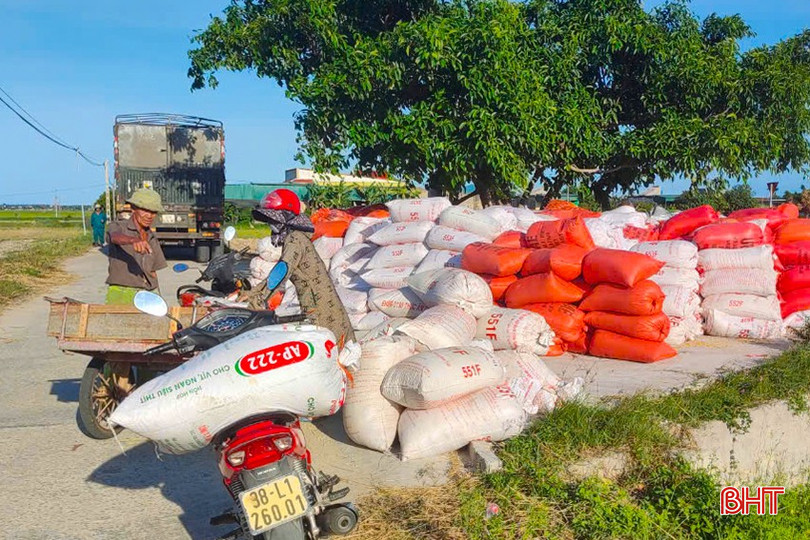 Nông dân Lộc Hà nhanh chóng vận chuyển lúa đến điểm tập kết. z5796501405948_dc0c31052983e95bcea30679b0f2b03b.jpg