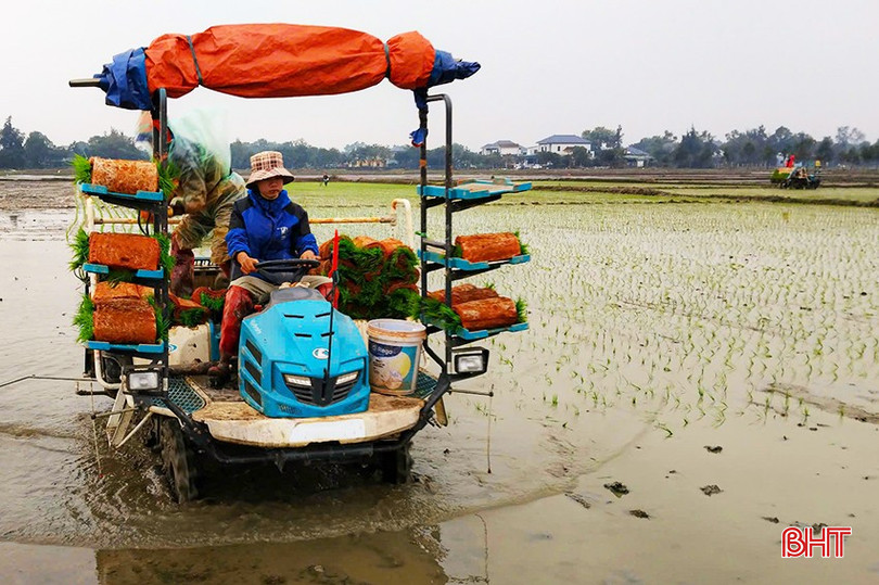 Ứng dụng mạ khay, cấy máy sản xuất lúa hữu cơ ở TP Hà Tĩnh. bqbht_br_z6220573168021-fd220aca162ceb87de2b3b20f69e6523.jpg