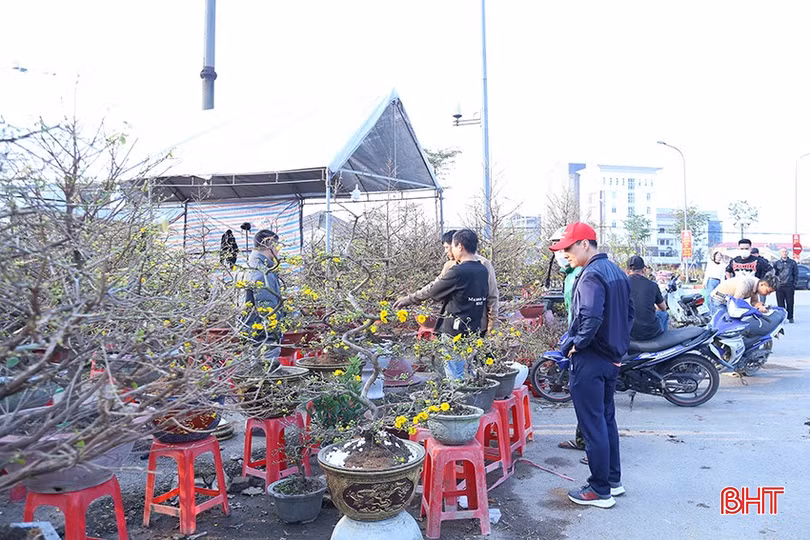 Chợ hoa ngày Tết tại tuyến phố Xô Viết Nghệ Tĩnh (1/2025).