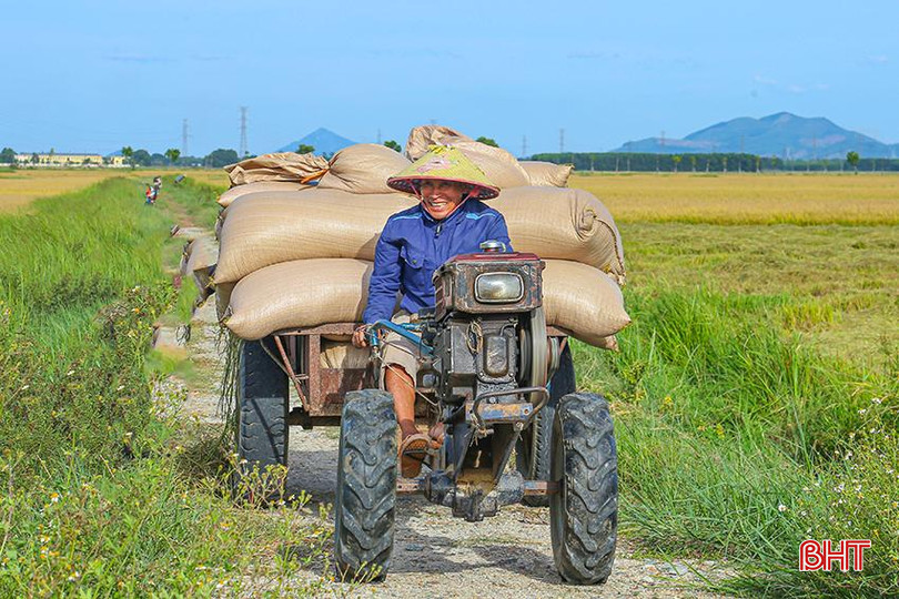 Niềm vui của người nông dân huyện Cẩm Xuyên khi lúa được mùa, được giá. IMG_0036.jpg