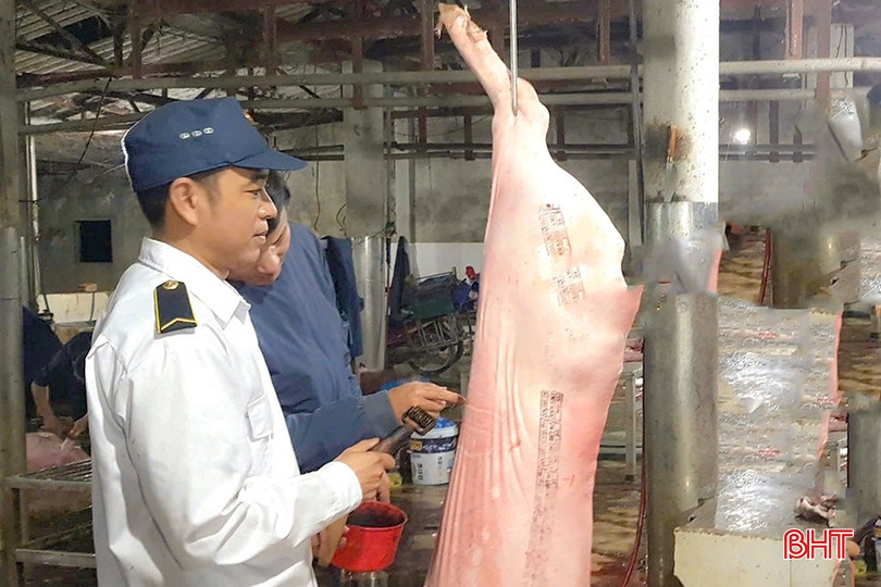 Công tác giám sát giết mổ được thực hiện tại lò mổ tại phường Đồng Môn cũ, nay là phường Trần Phú. bqbht_br_z6819488357936-d07b524966b224f9bcfa7817e87707c3.jpg
