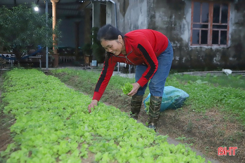 Bà Nguyễn Thị Lưu trồng các loại rau màu như: dưa chuột, mướp đắng, cải, hẹ, mướp, bù... bqbht_br_z6012804738723-2187e37520dd864570d7dc867bda6d18.jpg